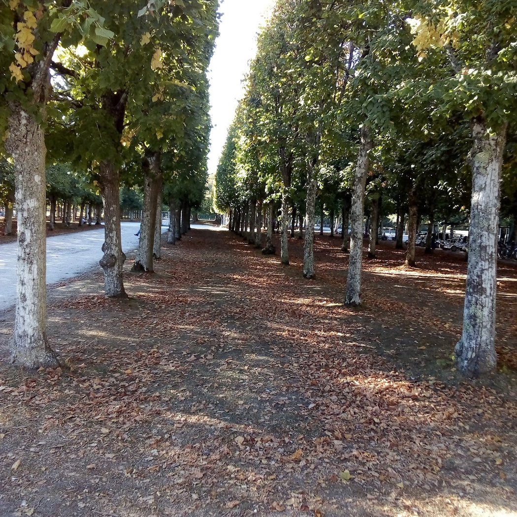 La Rambouillet Sports 1